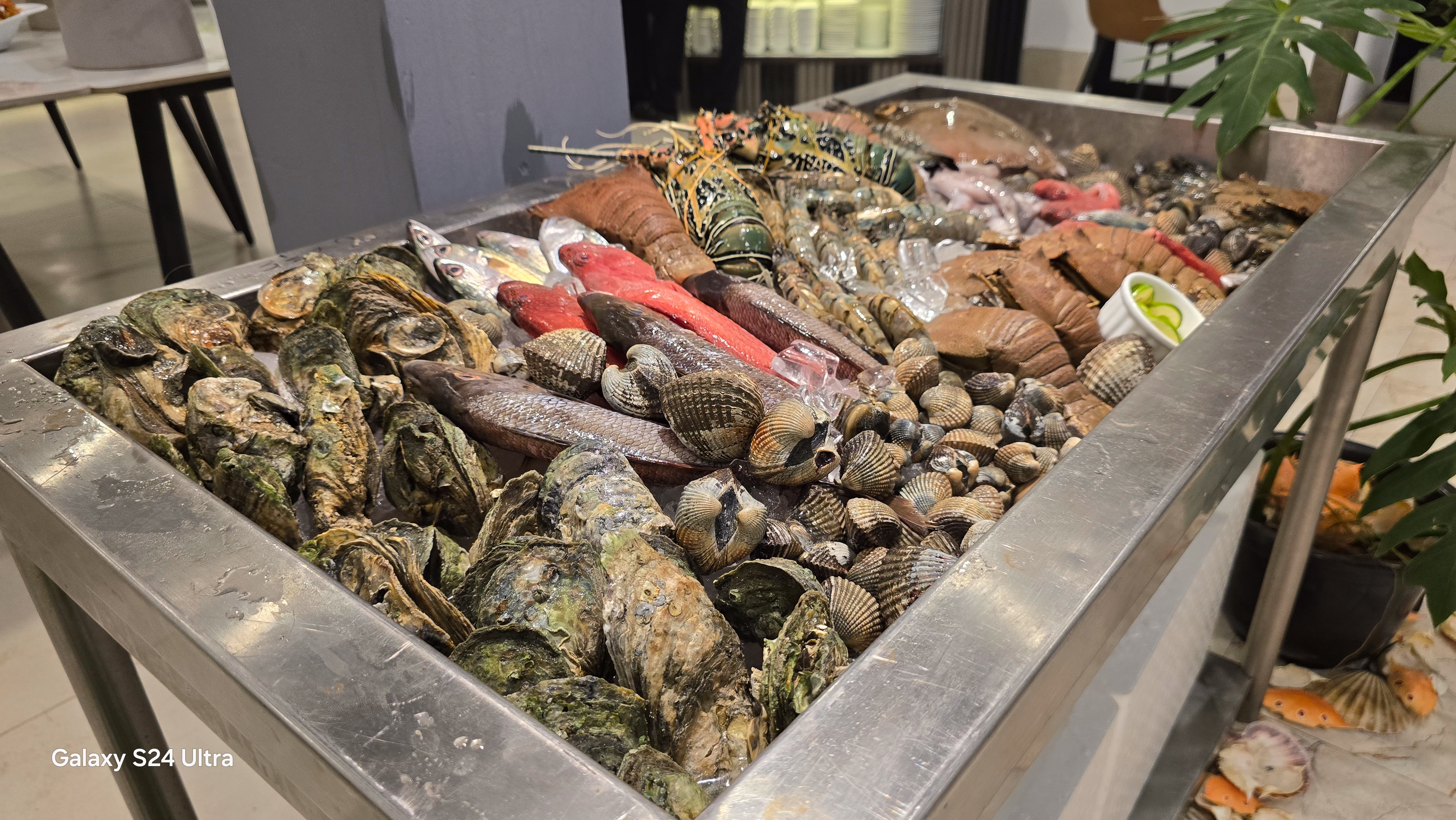 Galaxy Airport Hotel's Seafood Culture: A Taste of Negombo's Coast